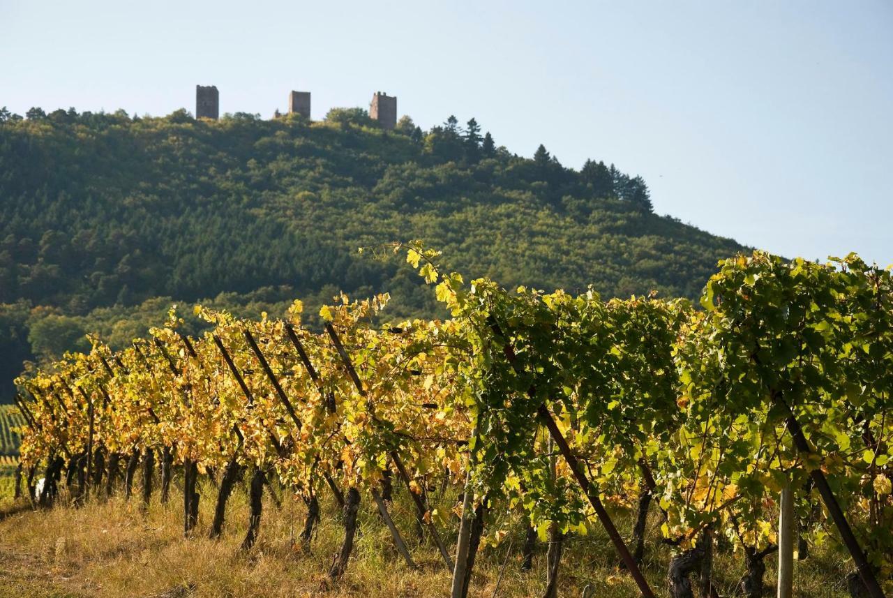 Gite Edelweiss A Eguisheim Eksteriør bilde