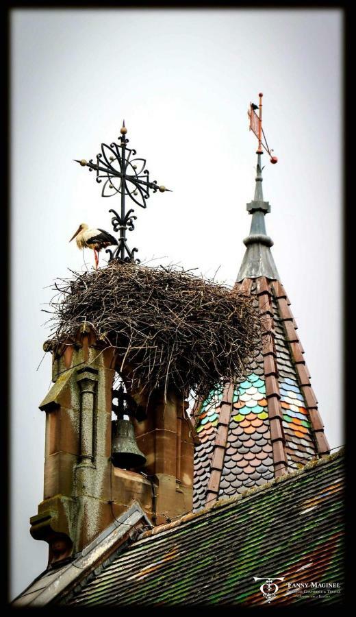 Gite Edelweiss A Eguisheim Eksteriør bilde